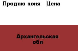 Продаю коня › Цена ­ 50 000 - Архангельская обл., Верхнетоемский р-н Животные и растения » Другие животные   